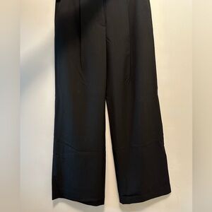New aritzia berna pant
